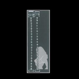 Bretelle trasparenti con stass articolo BRS00108